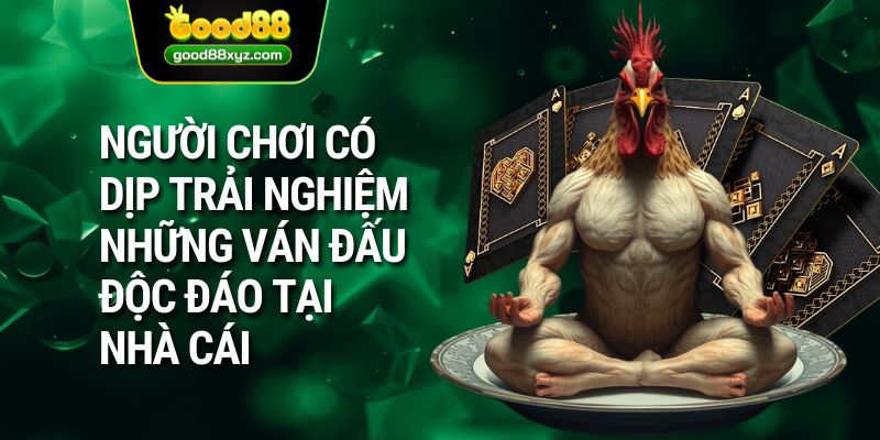 Người chơi có dịp trải nghiệm những ván đấu độc đáo tại nhà cái
