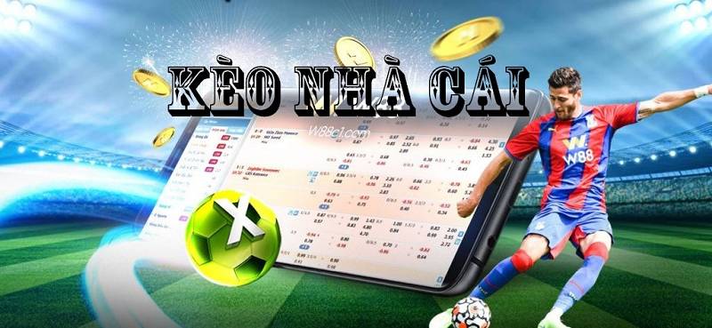 Cùng chia sẻ kinh nghiệm đọc kèo bóng đá chính xác